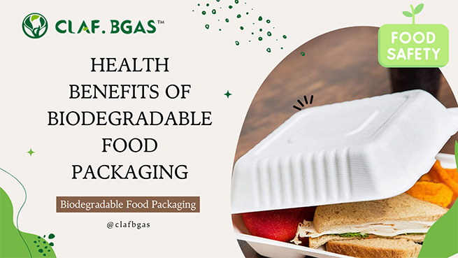 Health Benefits of Biodegradable Food Packaging