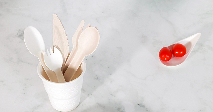 The 6 Best Eco-Friendly Disposable Cutlery (2023)