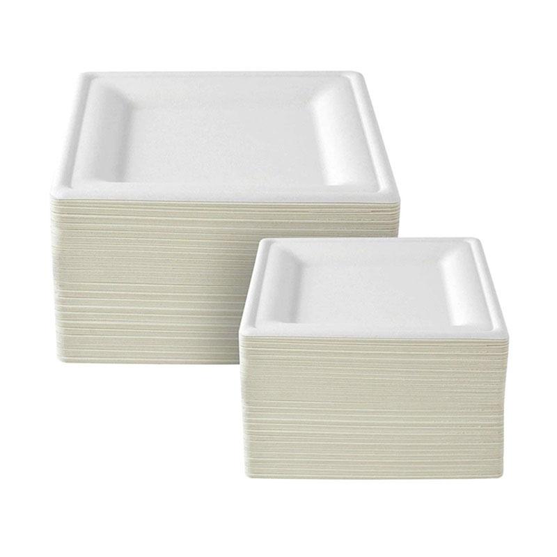 Compostable Bagasse Plates
