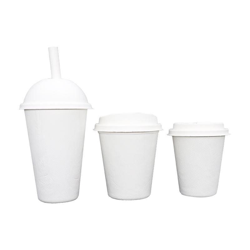 Biodegradable sugarcane bagasse cup