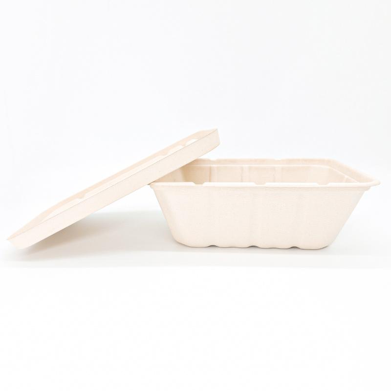 Bagasse Food Packaging Containers with Lids