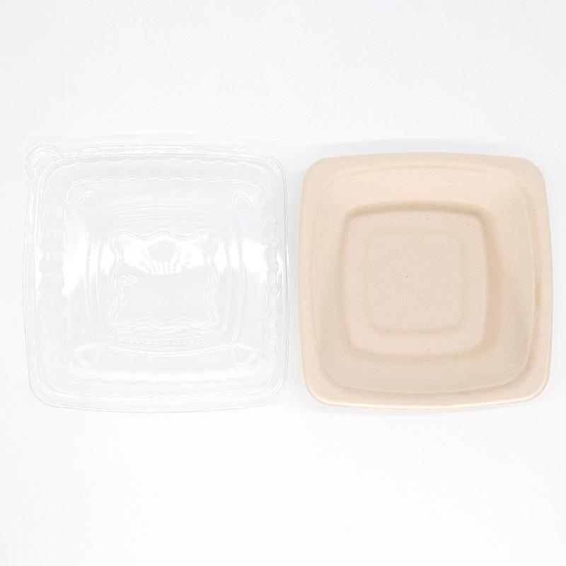 Bagasse Salad Bowl with Clear Lid